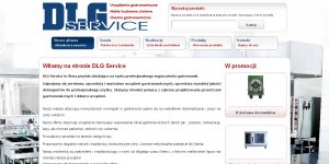 Strona internetowa firmy DLG Service Poland